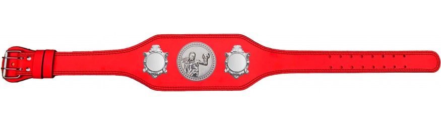 WOMEN'S BOXING CHAMPIONSHIP BELT-BUD003/S/FEMBOXS-4 COLOURS